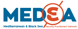 MEDEA logo